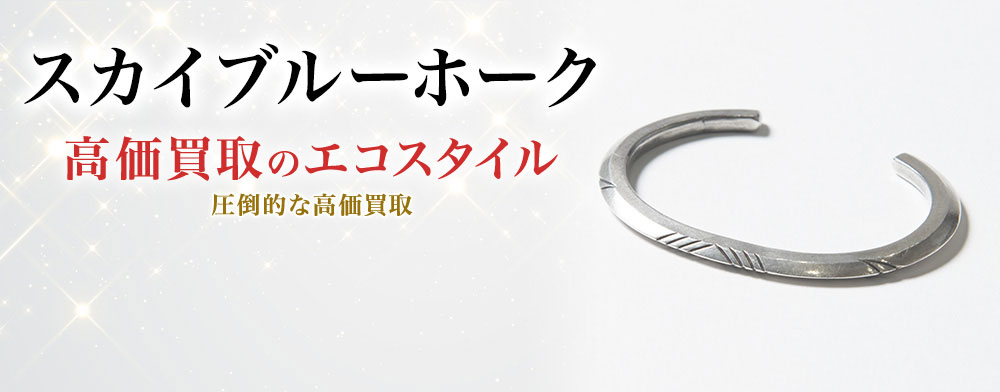 スカイブルーホークの高価買取ならお任せください。