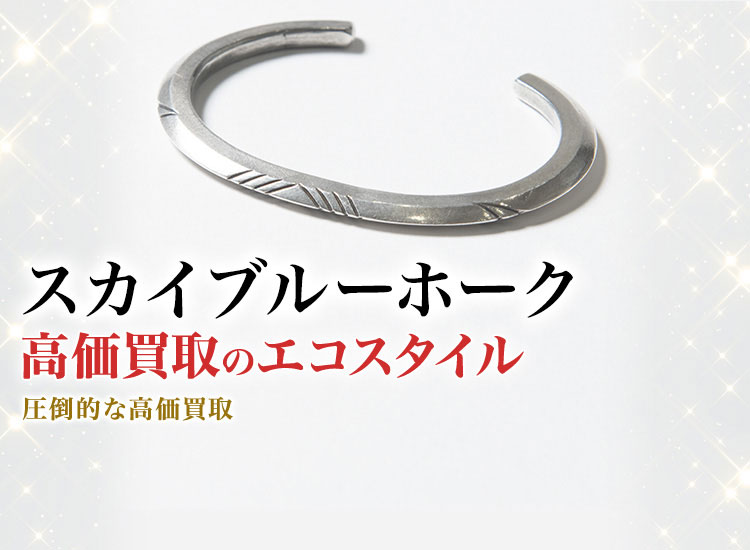 スカイブルーホークの高価買取ならお任せください。