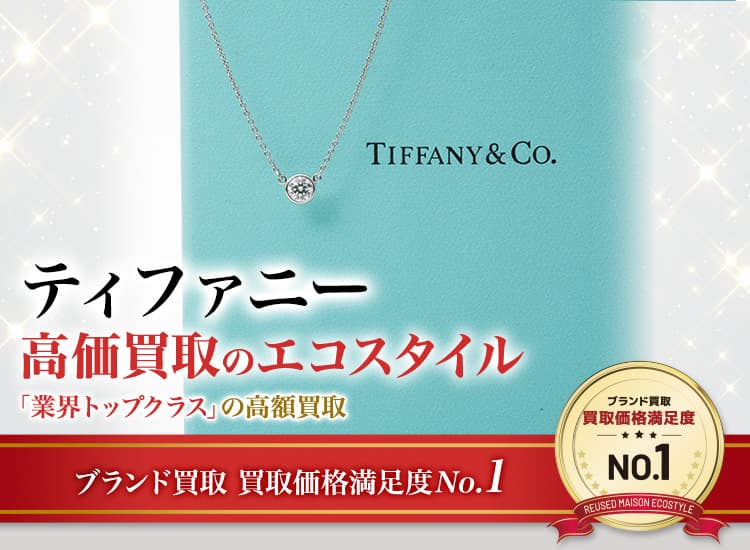 Tiffanyラージイニシャルs ロング チェーンネックレス美品