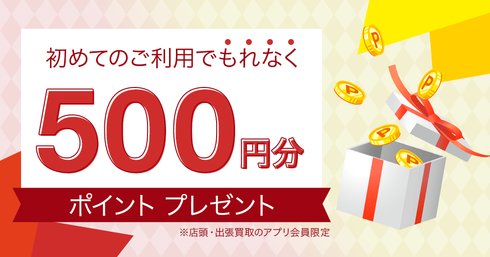 500円分のポイントプレゼント