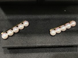 タサキのパール　バランスプラスピアスの買取実績です。