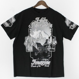 ルイヴィトンのRM192M NPG HHY01W ホーリーマウンテン プリント クルーネック 半袖Tシャツの買取実績です。