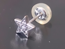 ビジュードエム K18WG メレダイヤ Petit Star Earring プチお星様ピアス 買取実績です。