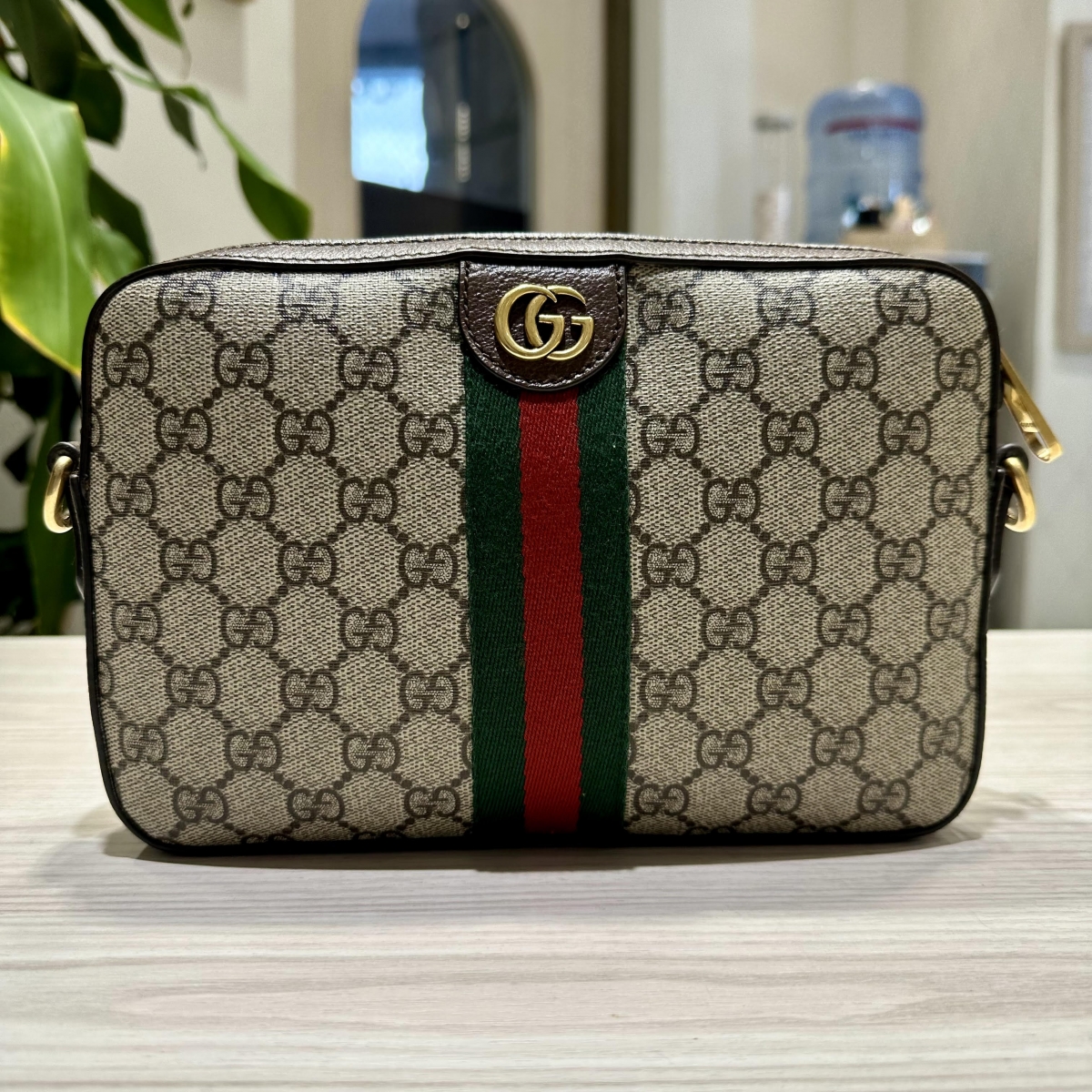 グッチ ショルダーバッグ オフィディア ややこしかっ