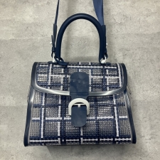 デルヴォー クリア素材 2wayハンドバッグ ブリヨンMM ドリーマー 買取実績です。