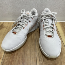 ナイキ グレージュ ルブロンXXI アコヤ FV2346-001 買取実績です。