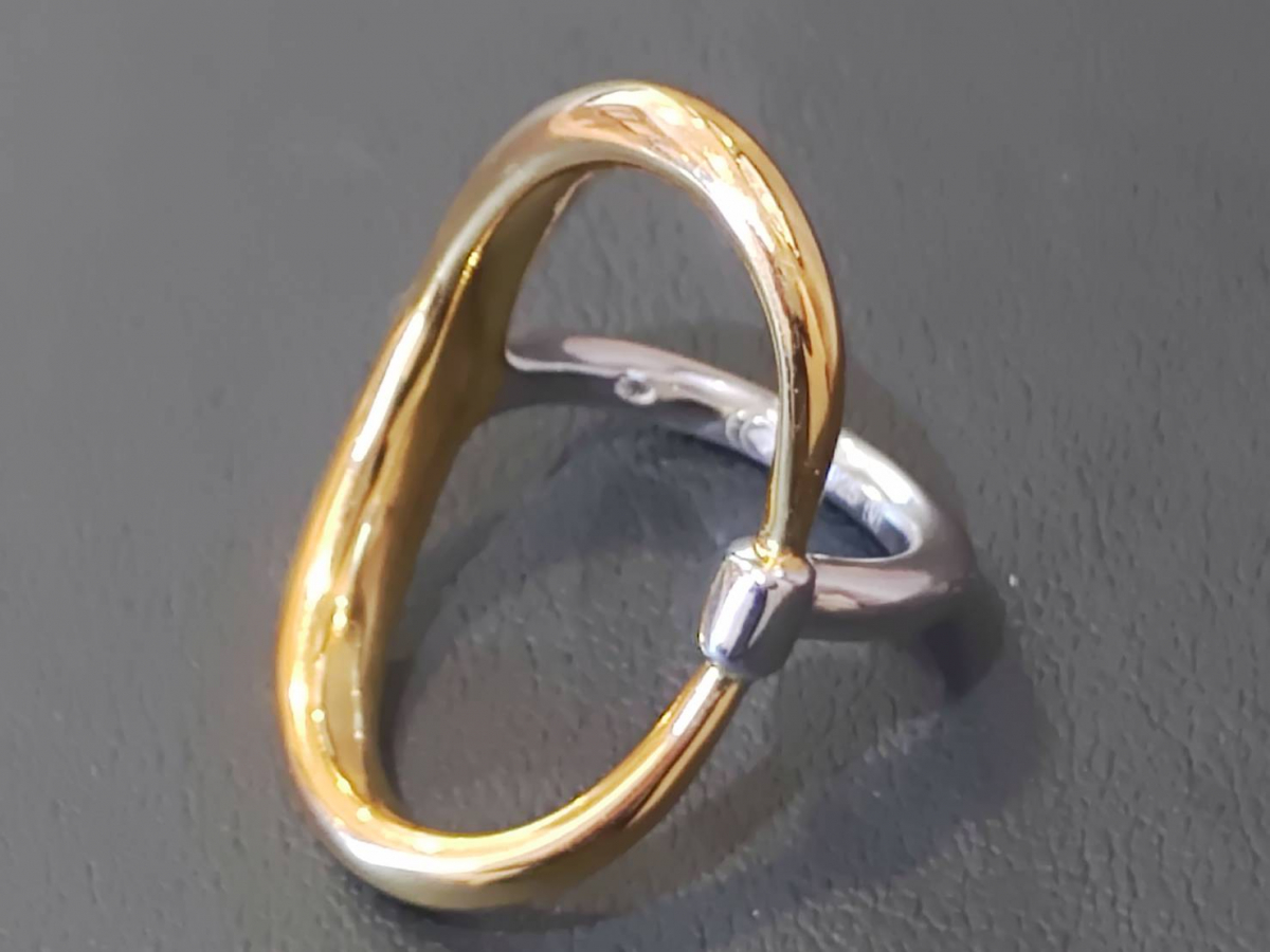 シャルロットシェネとは？エコスタイル新宿店でシャルロットシェネの