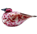 イッタラ(iittala)<br>バード ロザリンダ