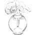 ラリック(LALIQUE) ザネモーヌ アネモネ 香水瓶の買取強化例です。