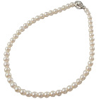 美品 タサキ(TASAKI)8mm アコヤパールネックレスSV金具 保証書付の買取強化例です。
