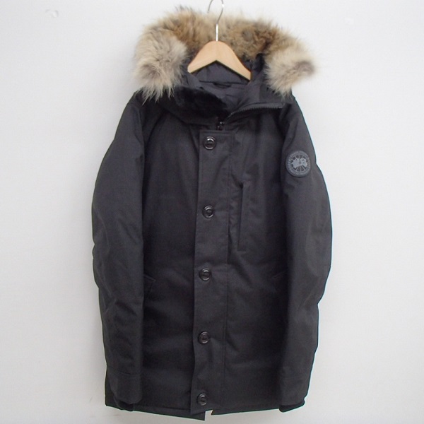 20180202_1106_CANADAGOOSE.jpg